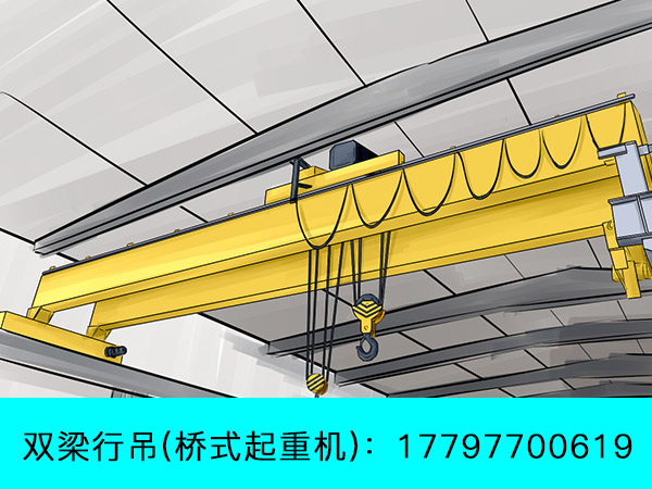 四川德阳桥式起重机生产公司洁净室行吊