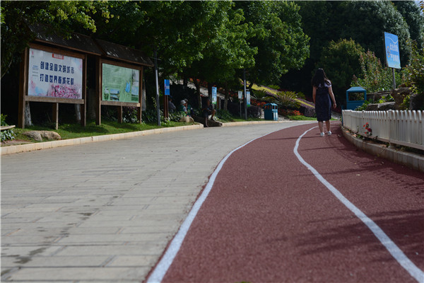 全天候登山缓步道的施工1工艺是什么