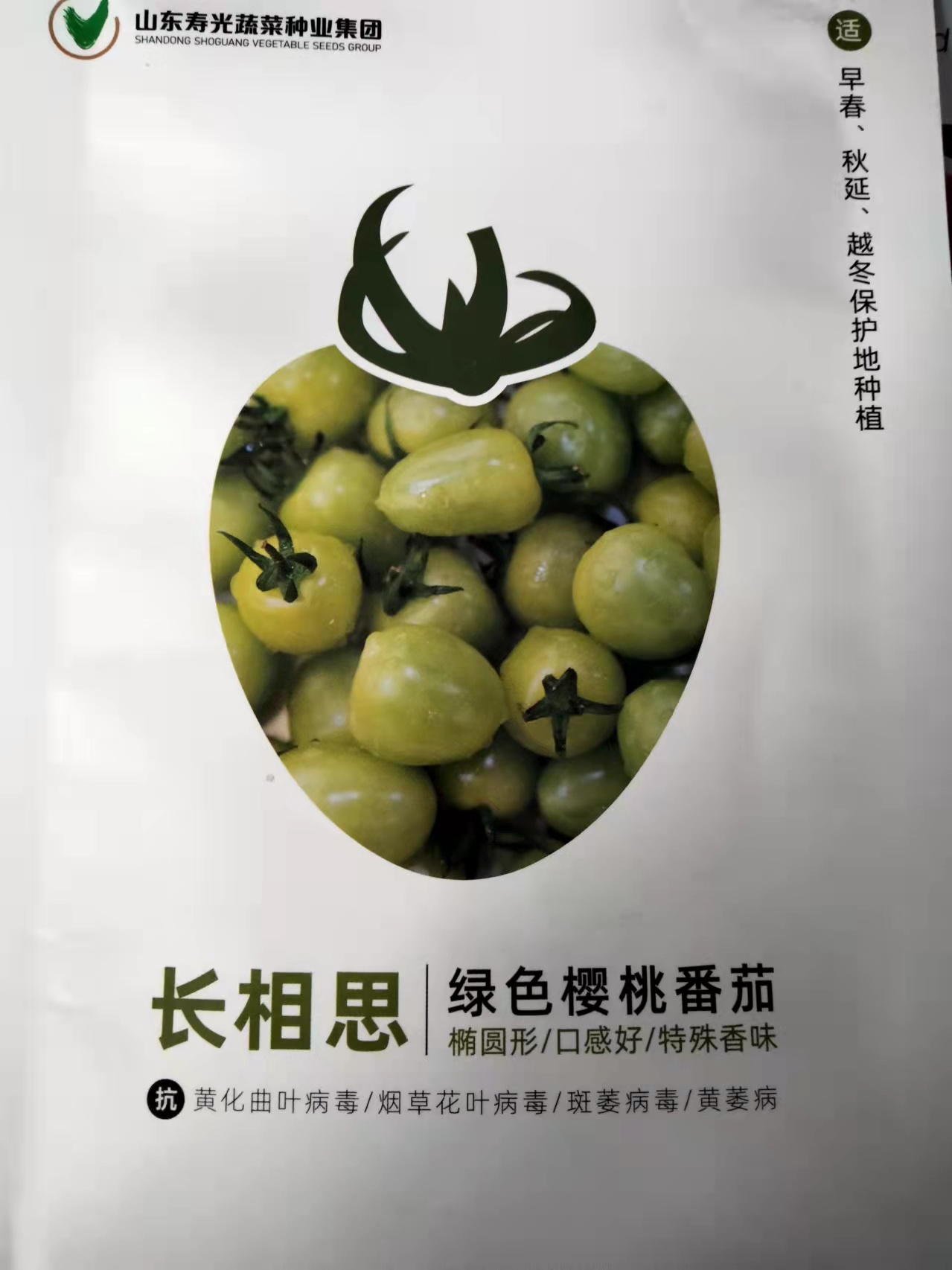 寿光蔬菜种业集团 长相思绿色樱桃番茄种子  椭圆形 口感好 特殊香味 抗病性好
