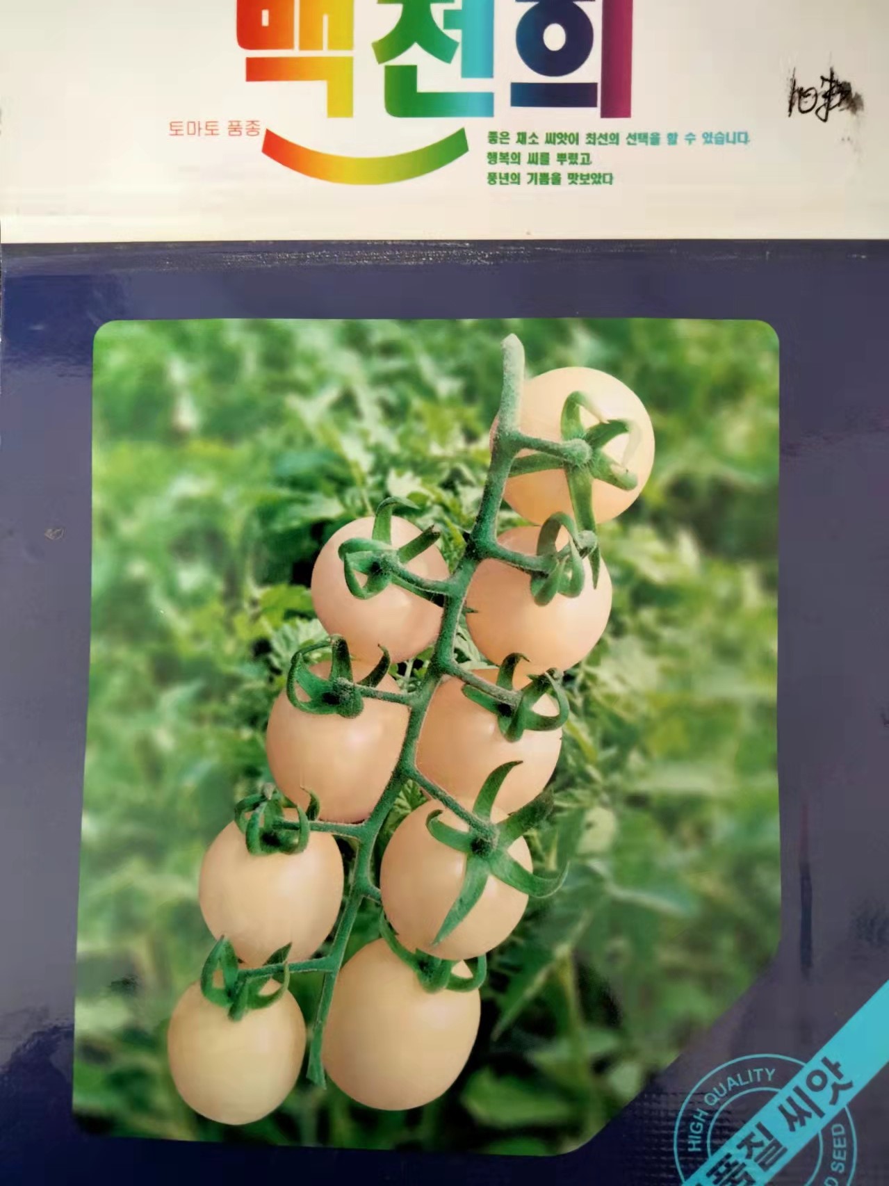韩国进口白千禧白色樱桃番茄种子