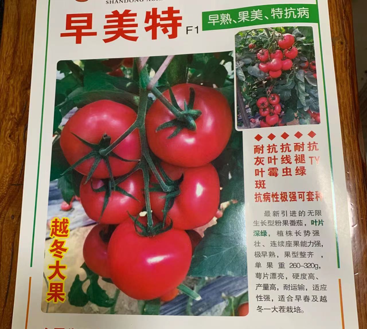 早美特F1粉果番茄种子苗子  早熟  越冬大果