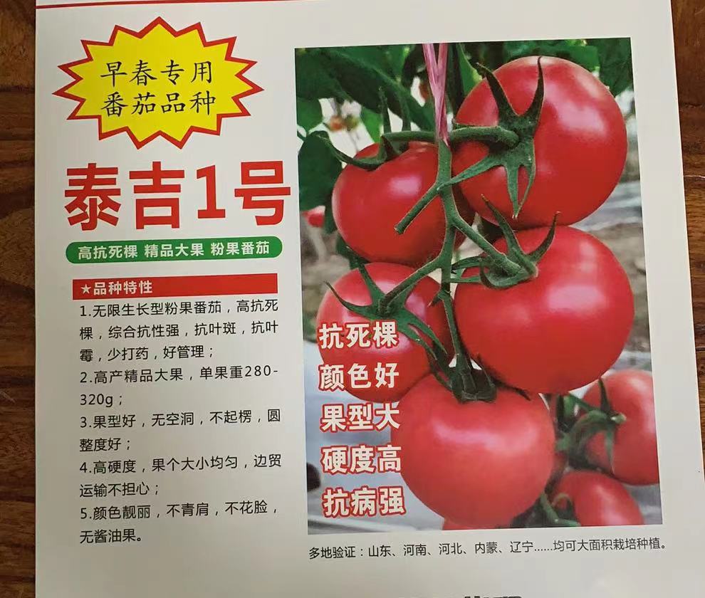 中研益农泰吉1号粉果番茄种子苗子   大果型  硬度好   抗死棵   抗病强