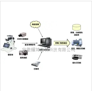 医学图像分析系统