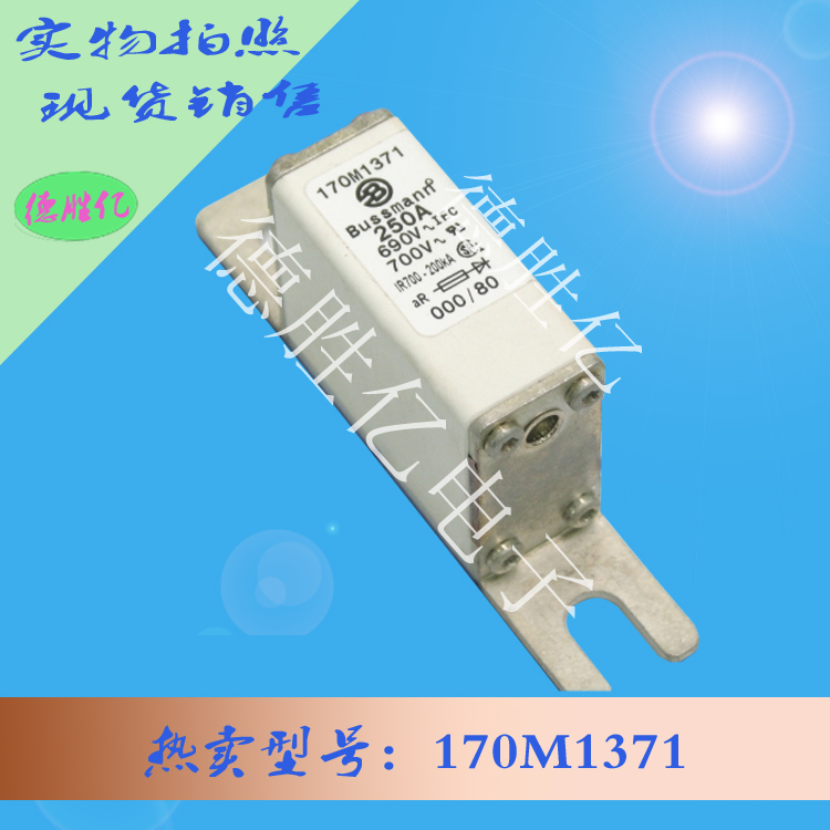 美国巴斯曼快速熔断器 170M1371从优