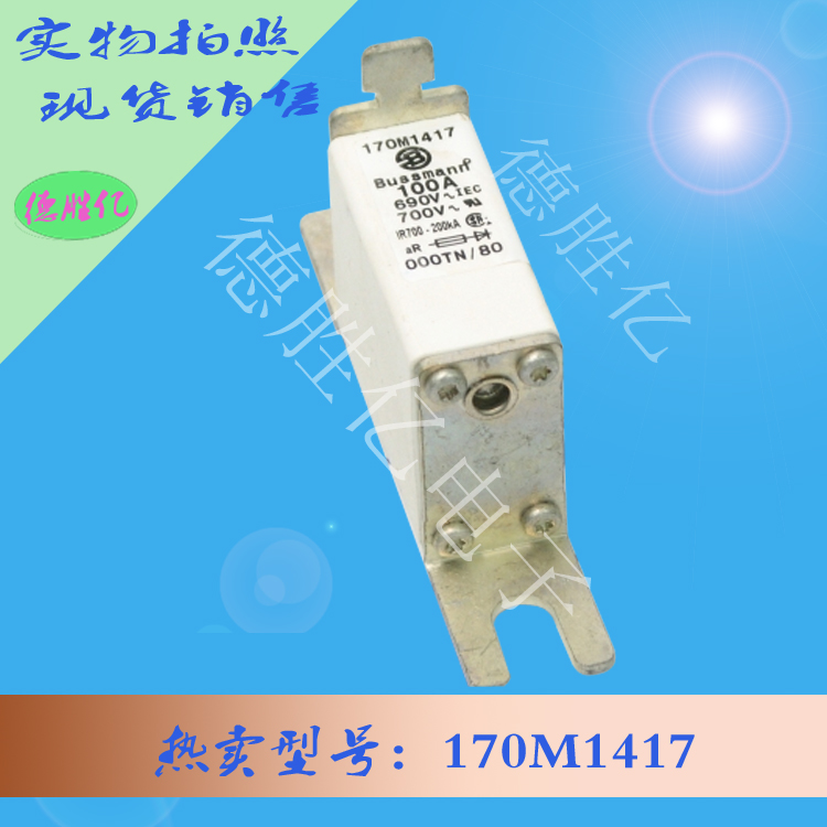 美国巴斯曼快速熔断器 170M1417 销售