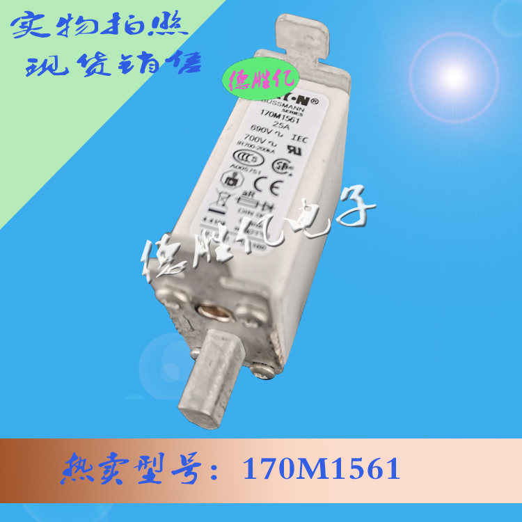 bussmann快速熔断器 170M1561价优