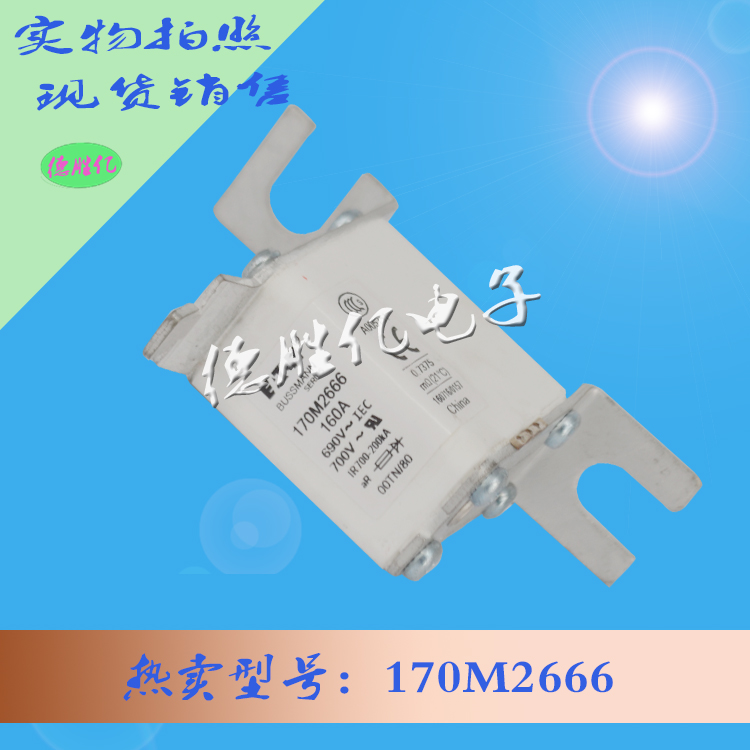 美国巴斯曼快速熔断器 170M2666全新