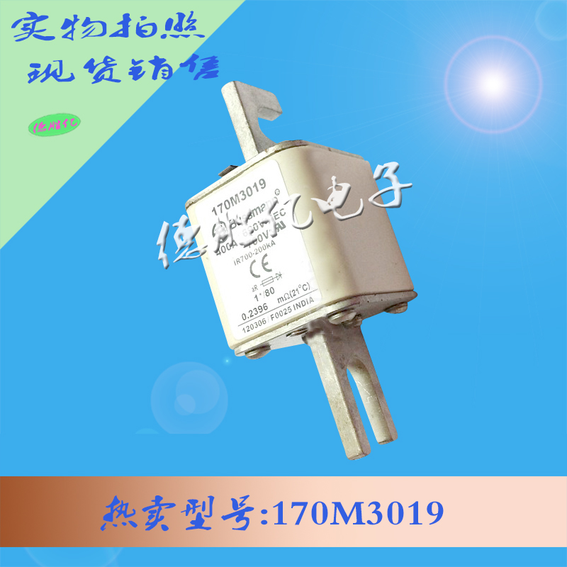 巴斯曼快速熔断器170M3019 供应