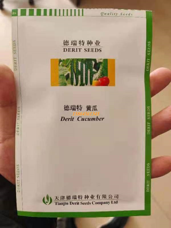 德瑞特1859 博杰636黄瓜种子苗子