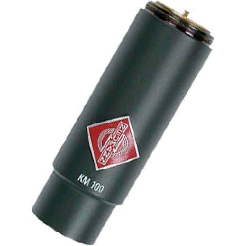 销售纽曼 Neumann KM 100 输出级并开启电源模块