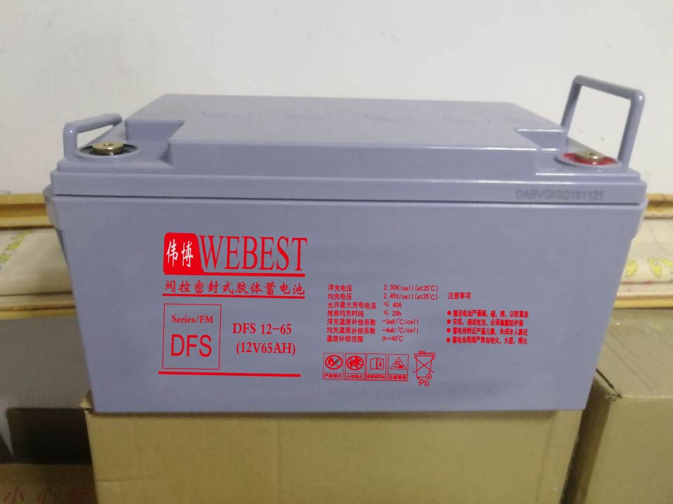 热销WEBEST伟博蓄电池DFS12-65 储能免维护工匠型 计算机UPS不间断应急电源