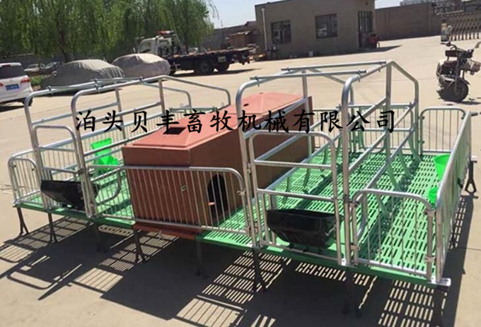 全复合母猪产床 母猪分娩床保育床 猪位定位栏 养殖设备