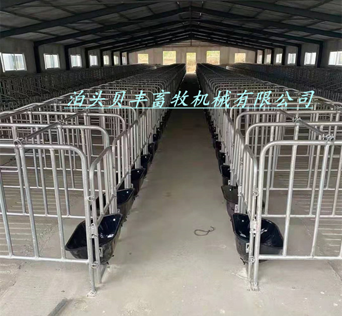 养猪限位栏采用间隔砖墙金属栏门结构,母猪限位栏采用热镀锌管