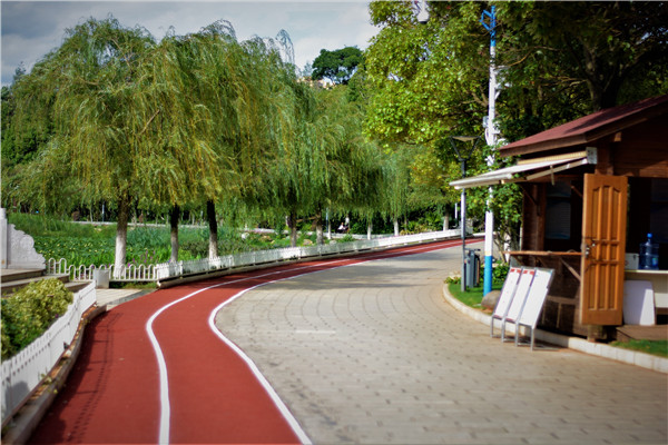 专注全民健身的多彩缓跑道时代来临