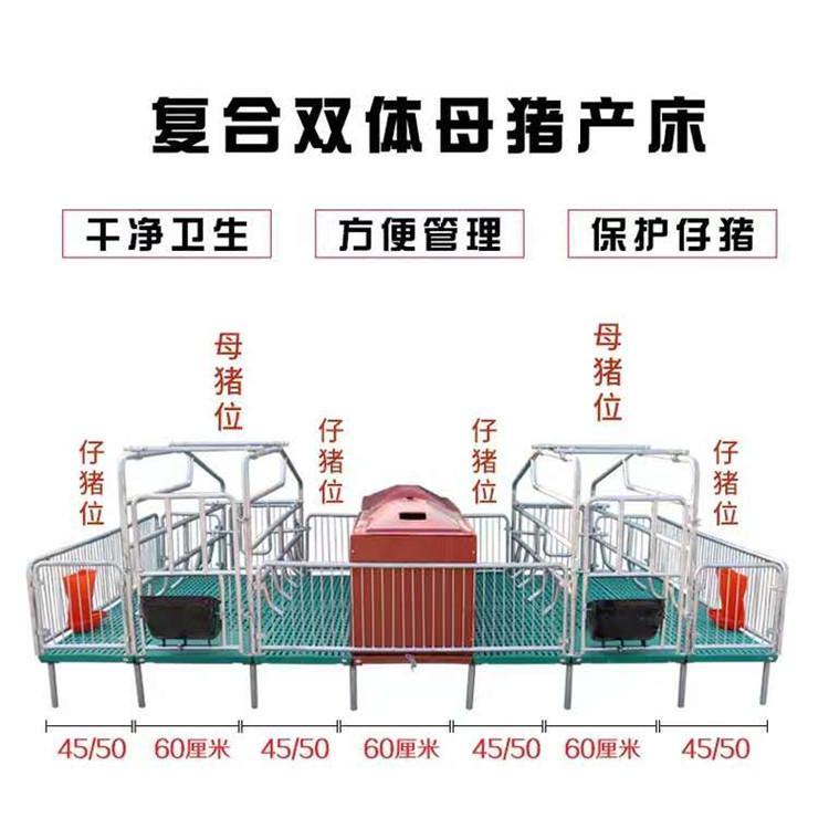 产床产保一体猪用产床母猪产床分娩栏双体产床