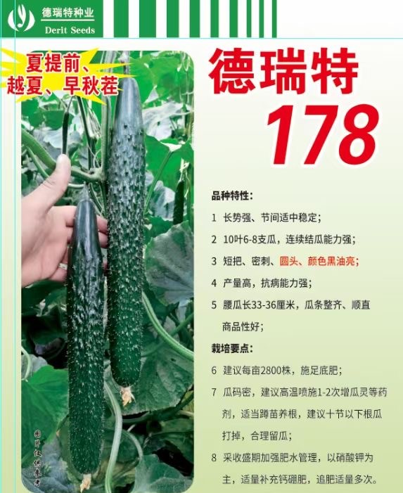 德瑞特178