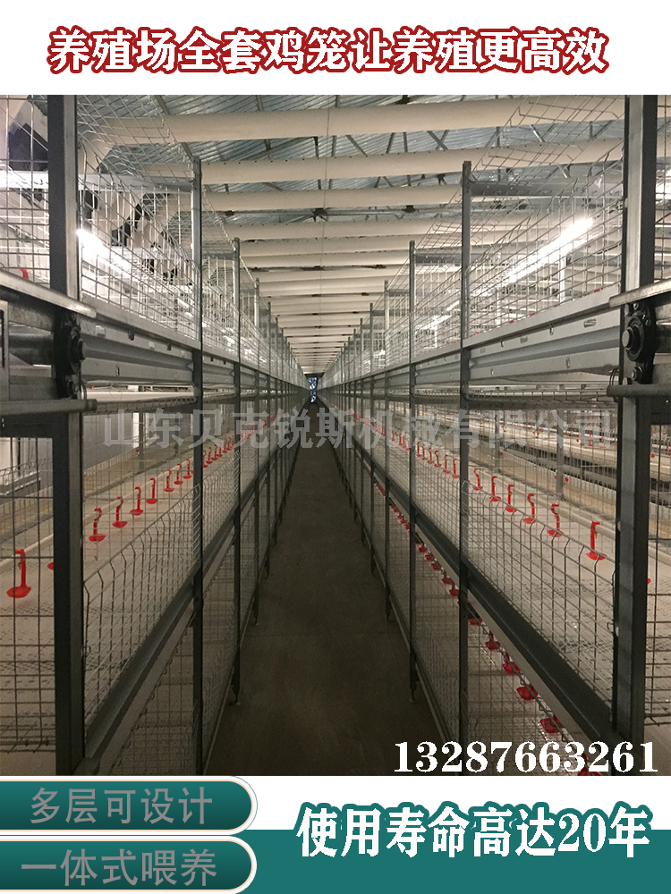 加粗加密一体立式鸡笼养殖全自动养鸡设备养殖场专用