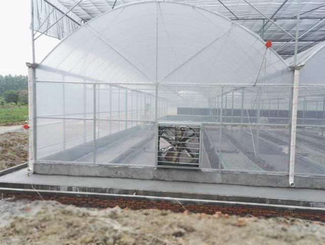 河南奥农苑厂家承建薄膜温室