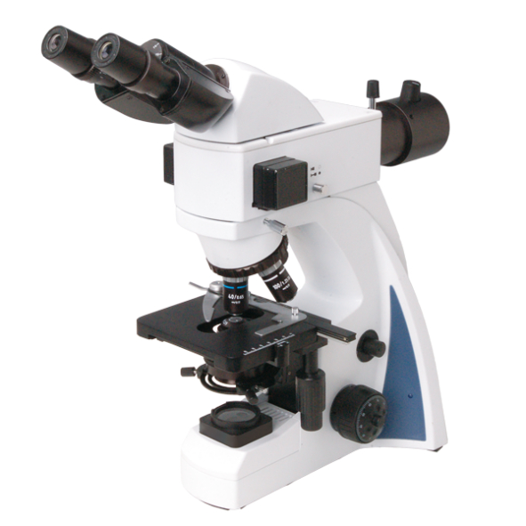 N-300F(LED) 荧光显微镜