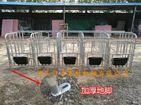 养殖设备母猪限位栏仔猪保育床配套设备系列