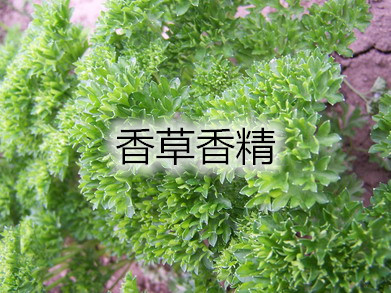 香草耐高温粉末香精