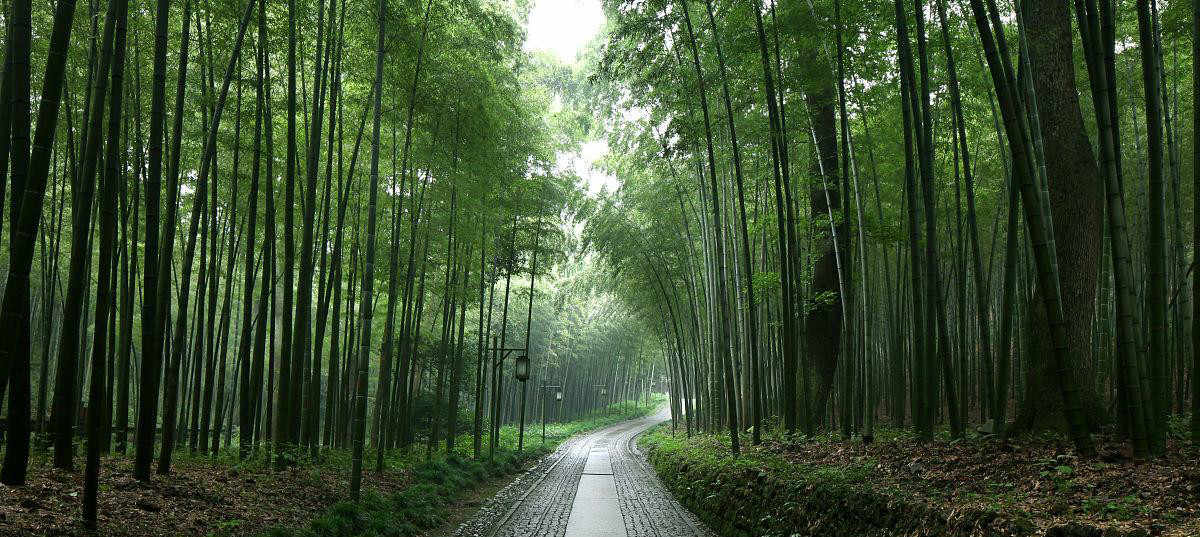 企业组织管理的内容-广州长松咨询