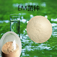 EM菌 批发零售 水产养殖 农业 微生物菌剂EM菌粉