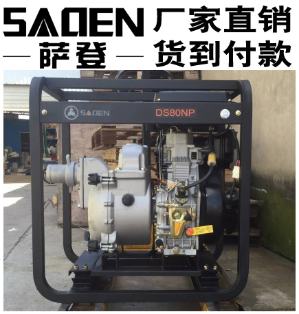 SADEN萨登DS100NPE柴油泥浆泵鱼塘抽淤泥图片