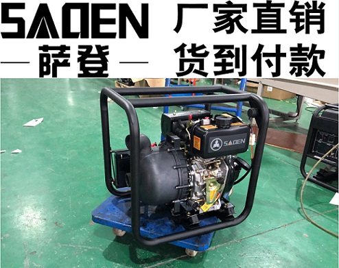 SADEN萨登DS100HPE柴油水泵多少钱一台