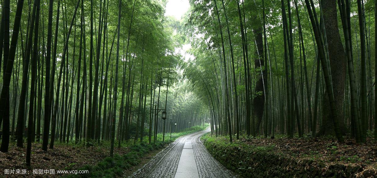 广州企业管理的五大体系-长松咨询
