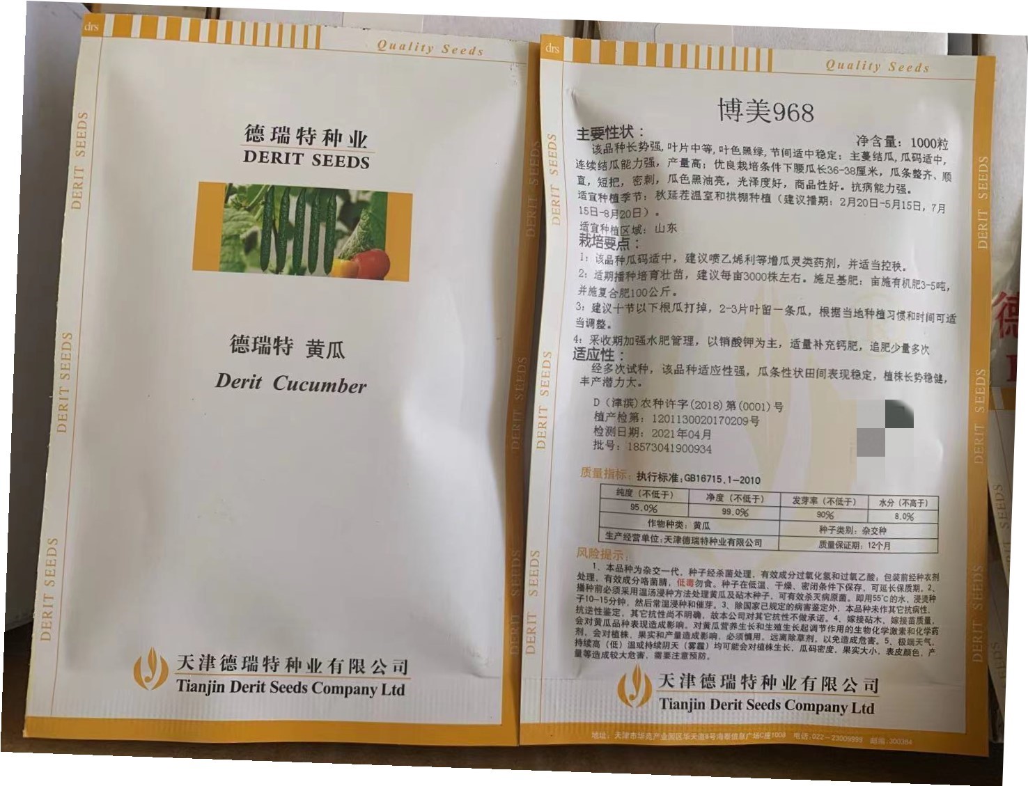 博美968黄瓜种子苗子 商品性好 抗病能力强 天津德瑞特种业