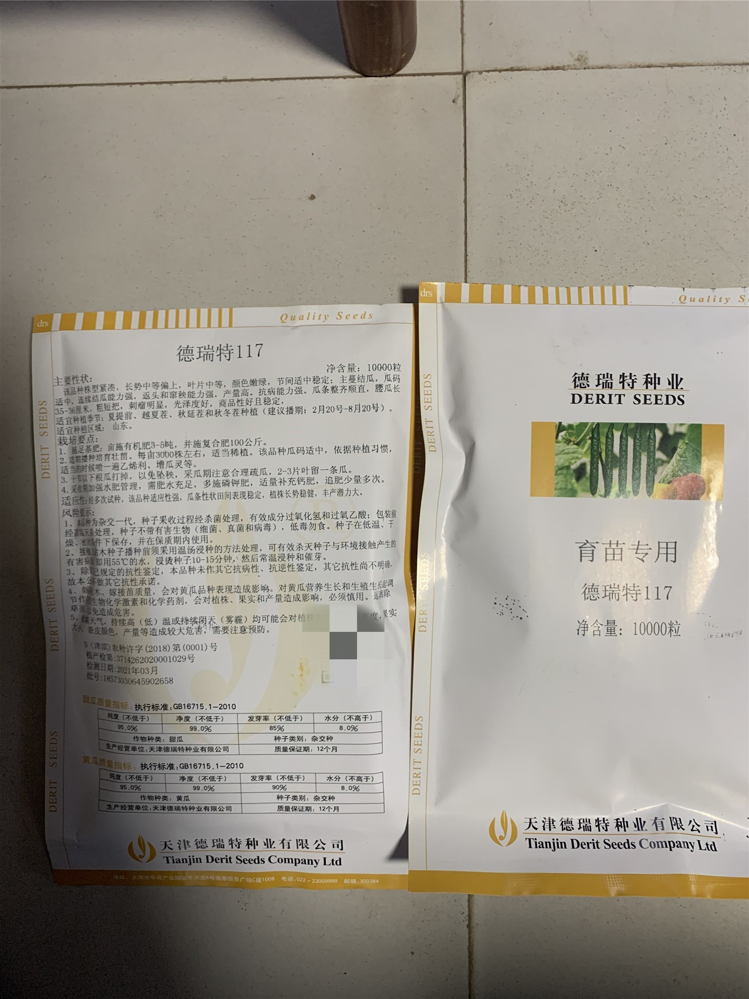 德瑞特117黄瓜种子苗子 抗病高产 天津德瑞特种业