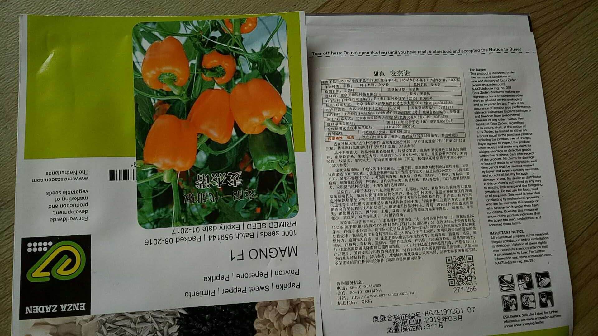 麦杰诺甜椒种子苗子 交配一代甜椒种子 山东寿光蔬菜凌广农业