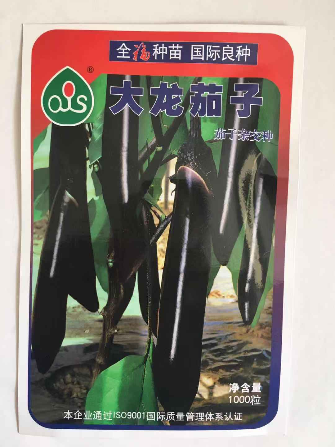 长茄765种子苗子 大龙茄子 黑龙江全福种苗 寿光育苗基地