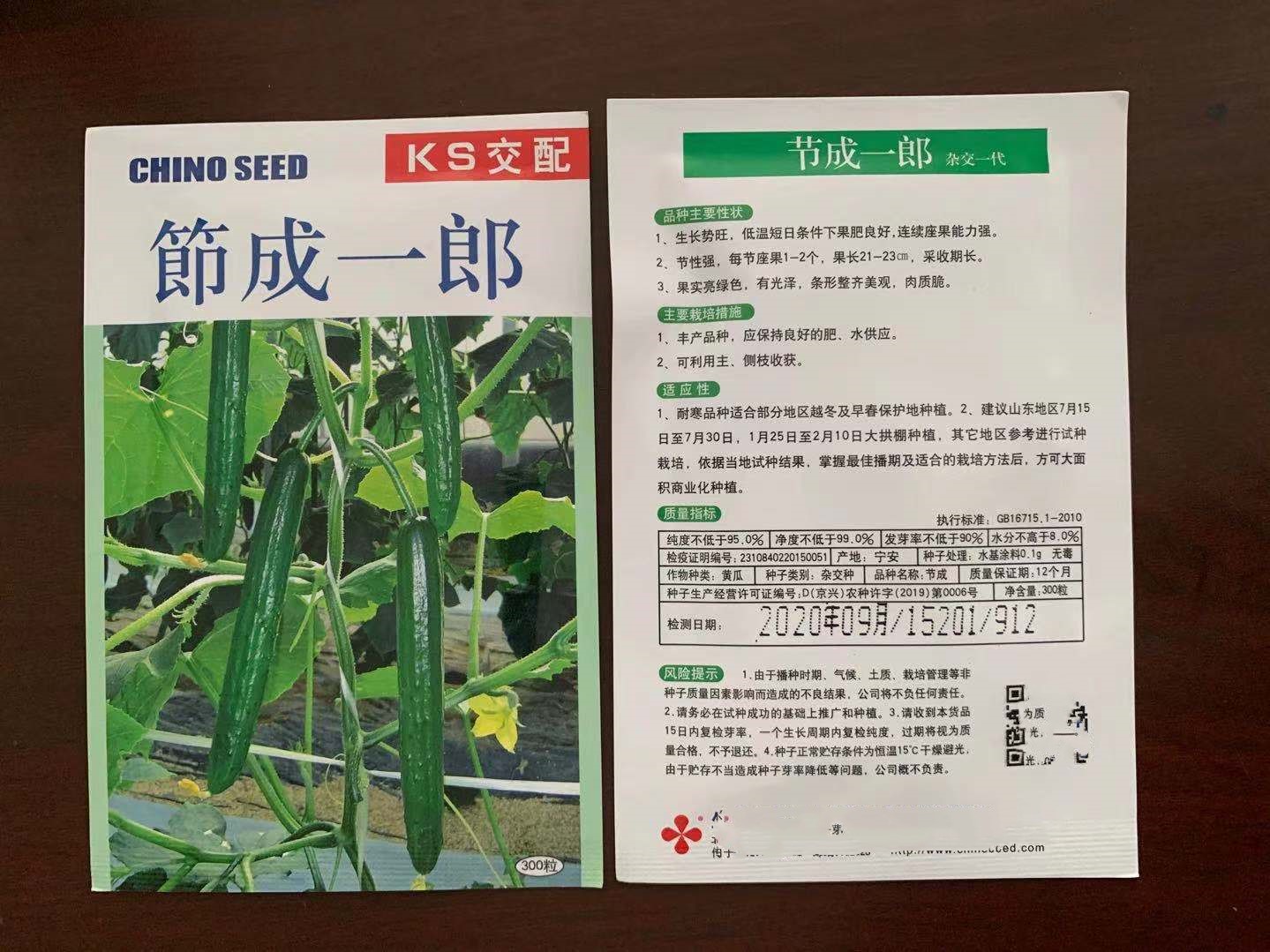 节成一郎黄瓜种子苗子 座果能力强 山东寿光蔬菜种业