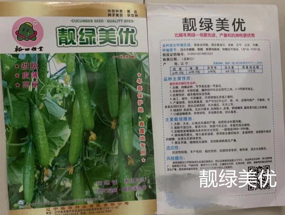 靓绿美优纯雌品种水果黄瓜种苗 抗病高产 山东寿光蔬菜种业