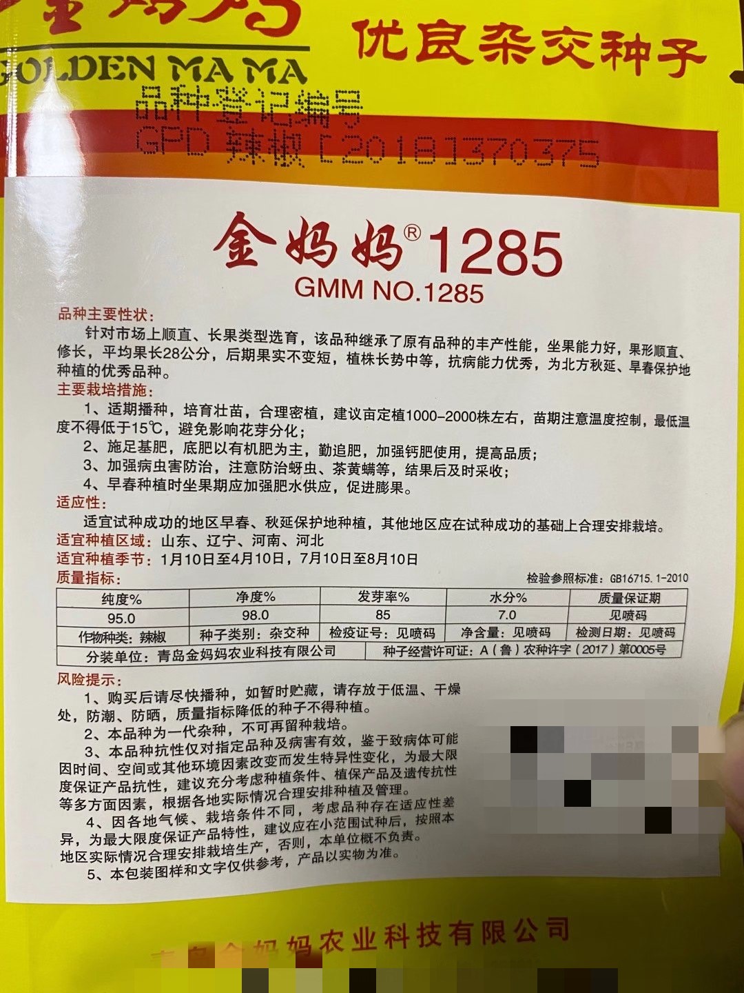 金妈妈1285辣椒种子 抗病高产 寿光辣椒育苗基地