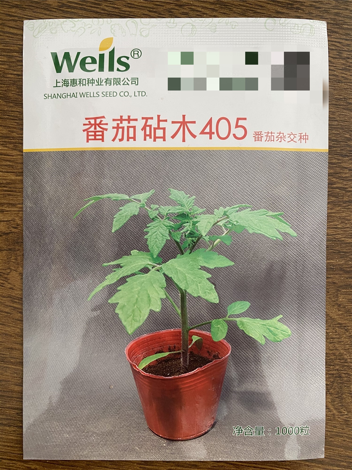 番茄砧木405 艾斯番茄砧木 优良砧木钟子 山东寿光蔬菜种业