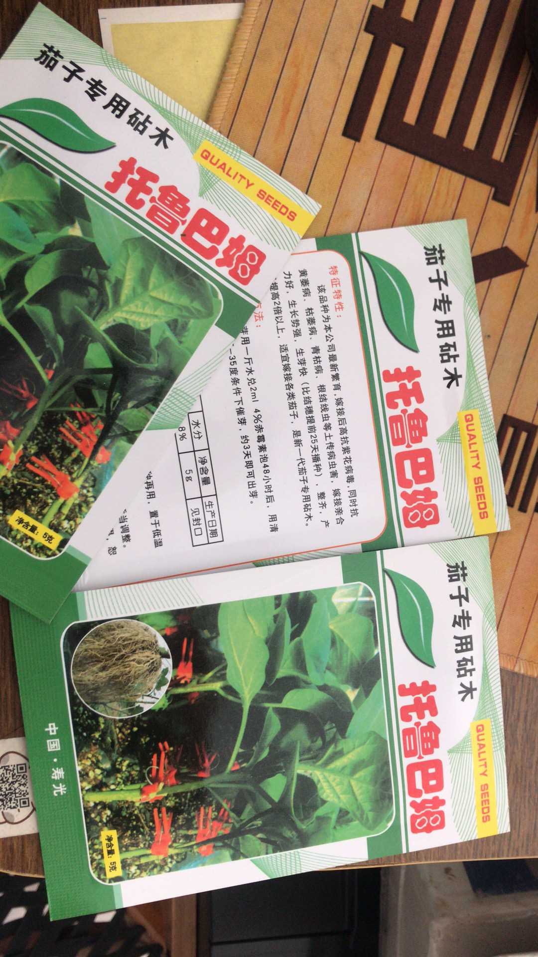 托鲁巴姆茄子砧木 适宜嫁接各类茄子 是新一代茄子专用砧木 山东寿光蔬菜种业