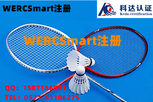 曲靖做色浆WERCSmart注册年费用需要多少钱？