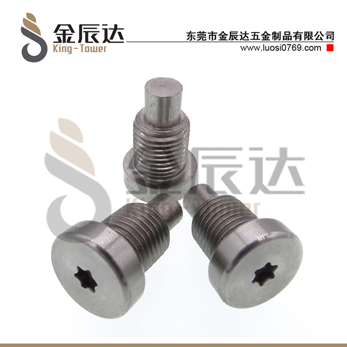 广东不锈钢CD纹螺丝厂家
