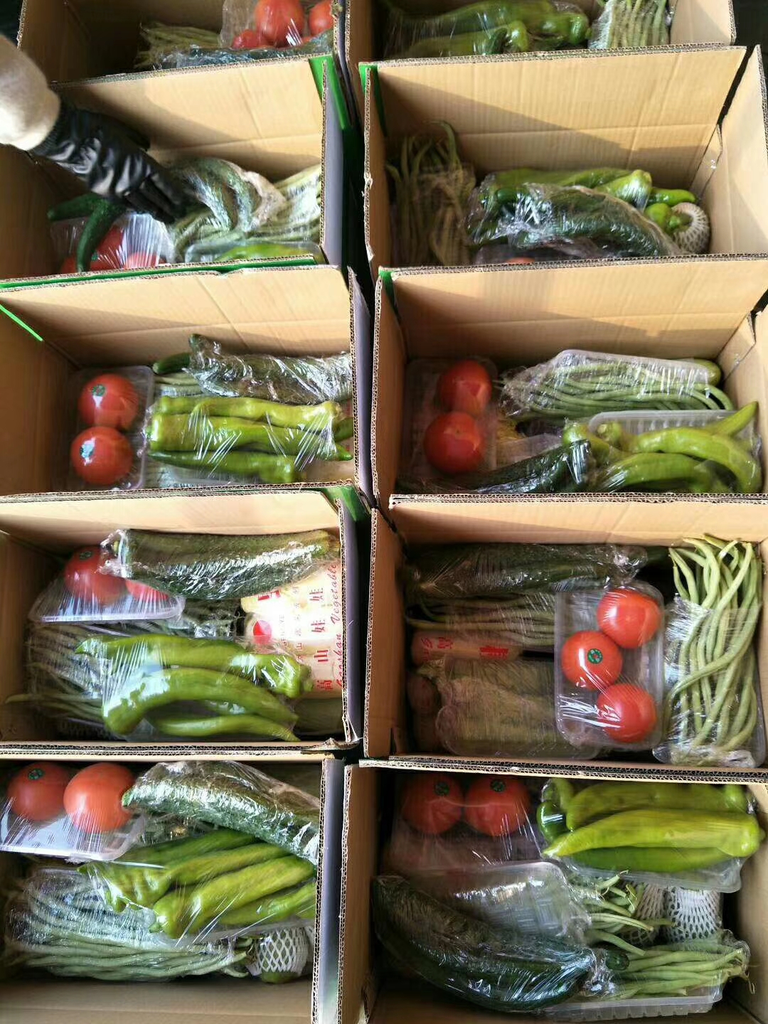 洛阳市西工区蔬菜集装箱一件代发洛阳高新区蔬菜礼盒销售蒜黄批发