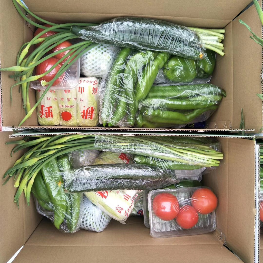 蔬菜集装箱团购洛阳市洛龙区蔬菜集装箱经销洛阳新区蔬菜礼盒销售