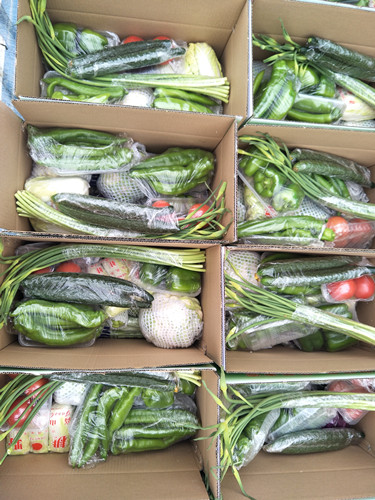 蔬果配送新安县蔬菜集装箱分销洛阳市老城区蔬菜礼盒销售果蔬礼盒批发