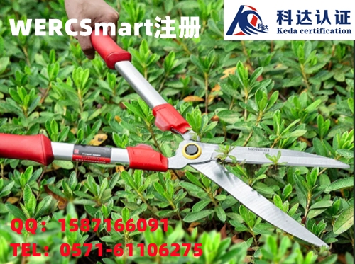 CR2032锂电池申请办理WERCSmart注册认证怎么做？