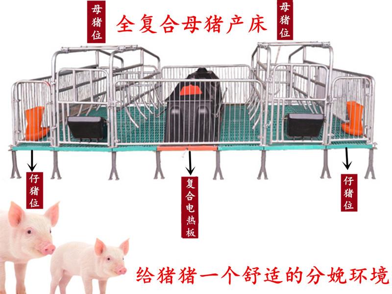 母猪双体产床塑料保温箱猪位60养猪设备