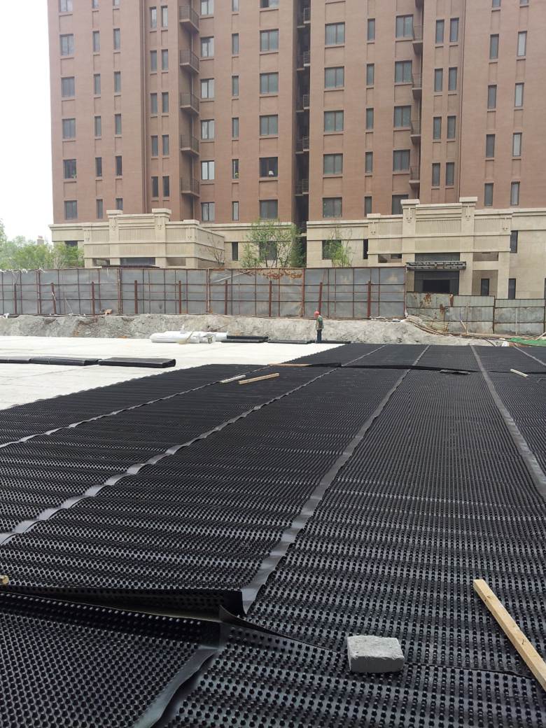 湖南建设绿化型排水板、地下室车库顶板疏水板