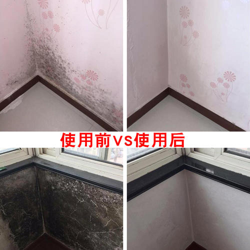 广州市天河区天平架有效除霉渍环保除霉剂墙角潮湿发霉处理