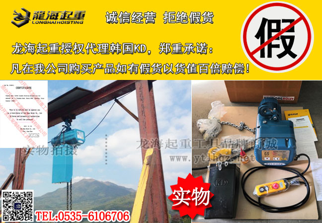 3000kg环链电动葫芦韩国,单速或双速可选环链电动葫芦