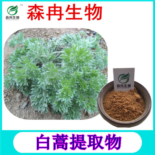 森冉生物 白蒿提取物 茵陈蒿提取物 植物提取原料粉